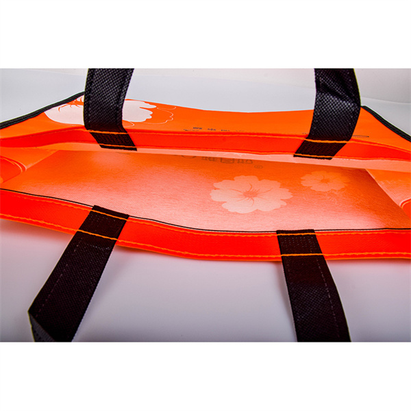 Fit All Your Groceries in One Bag with Our Large Eco Bag.