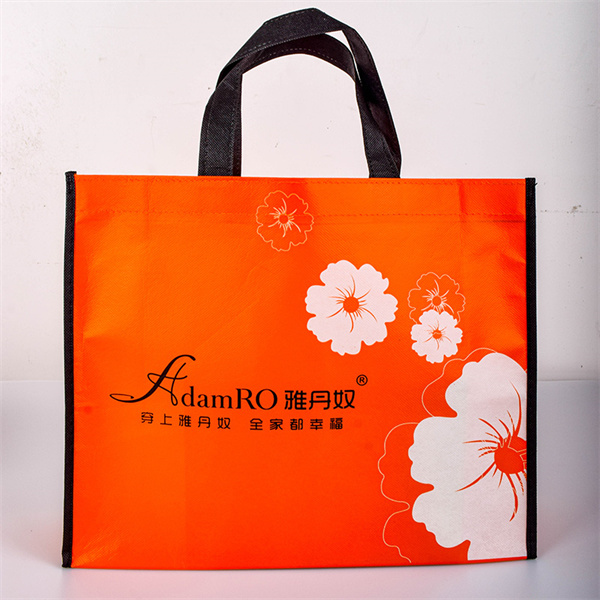 Large Eco Bag.