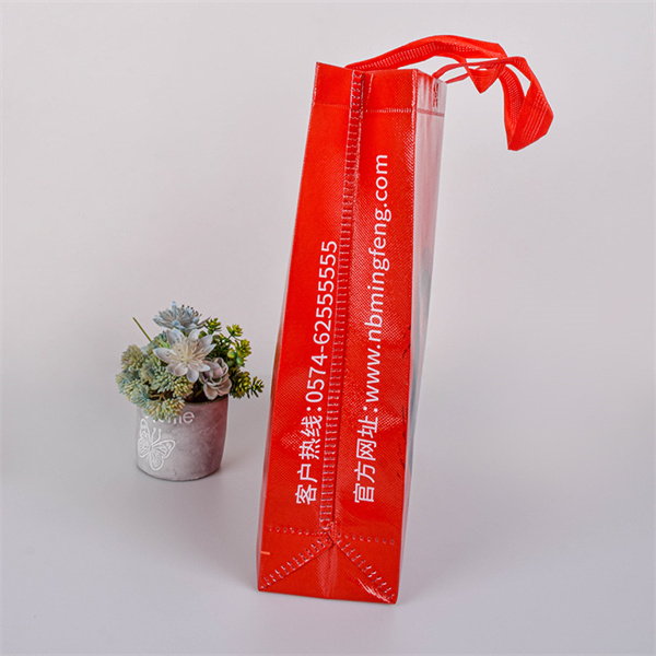 Say Goodbye to Plastic with Convenient Foldable Bags