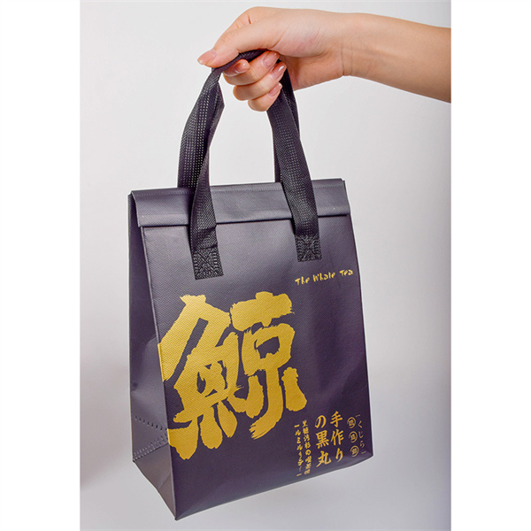 Join the Sustainable Movement with Men's Reusable Grocery Bags