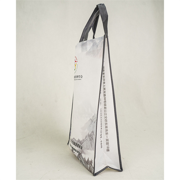 Discover the Best Mexican Reusable Bags