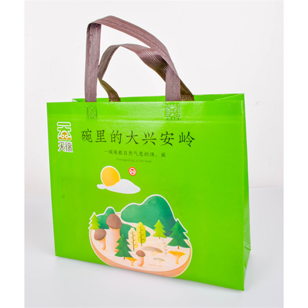 Stay organized and fashionable with Non Woven Bag Blue