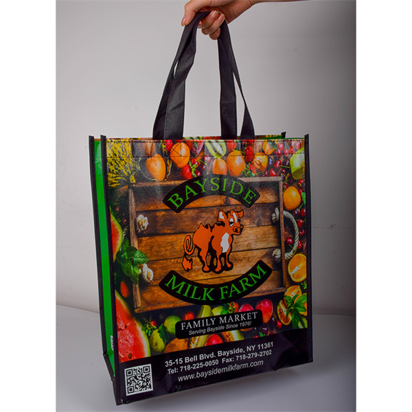 Say Goodbye to Single-Use Shopping Bags