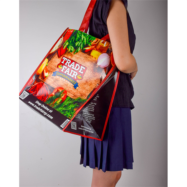 The Perfect Companion for Your Grocery Runs