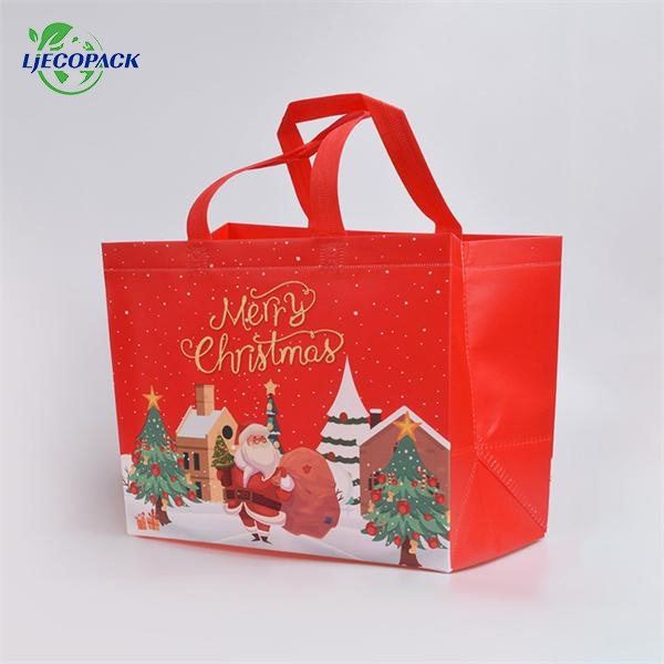 Embrace the Non Woven Bag with Handle