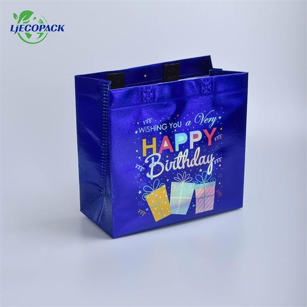 The Functional Non Woven Bag with Handle
