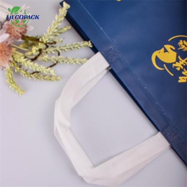 The Trendy Non Woven Bag with Handle
