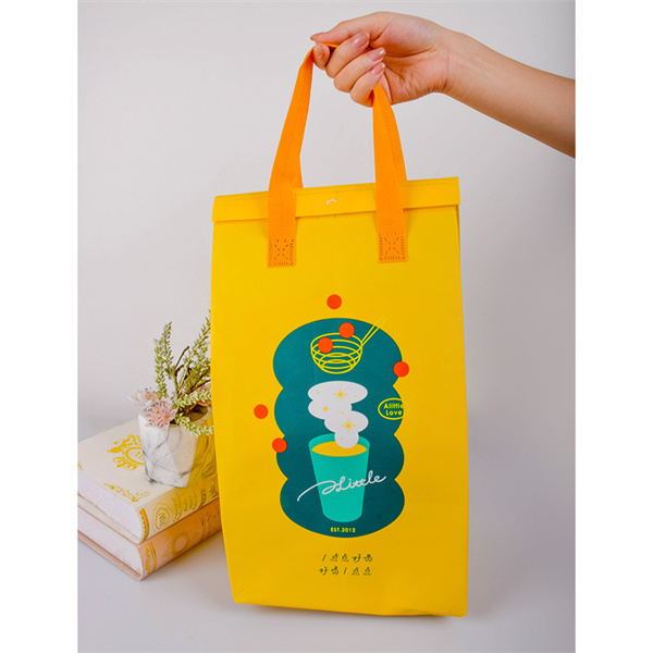 Why Non Woven Bags are Better for the Environment