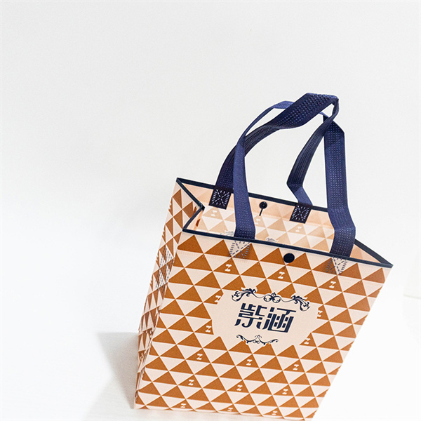 How Non Woven Carry Bag Manufacturing is Revolutionizing the Packaging Industry