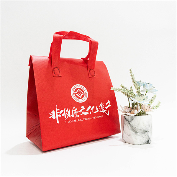 The Growing Demand for Non Woven Carry Bags in the Marke