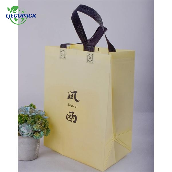 Say goodbye to single-use plastics with non woven carry bags