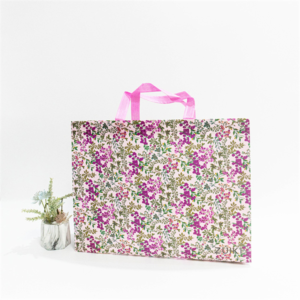 Switch to Non Woven Cloth Bags