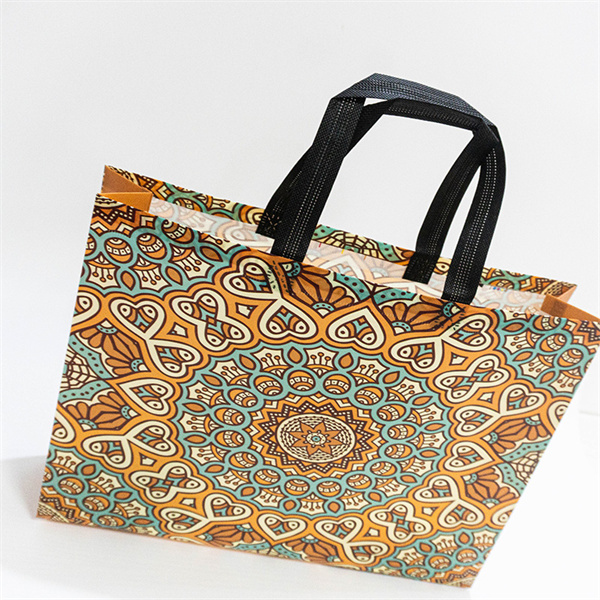 Non Woven Cloth Bags for Every Occasion
