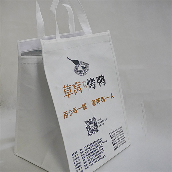Practical and eco-friendly, a non woven cooler bag is a must-have for summer