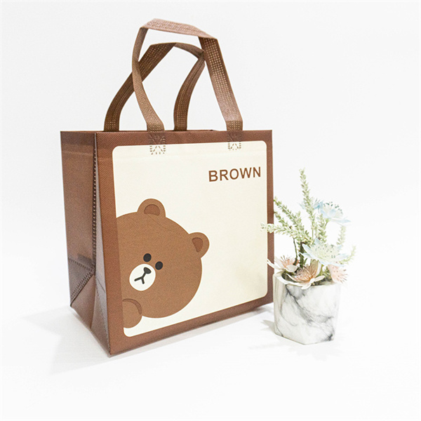 Non Woven Fabric Bags That Won't Break the Bank