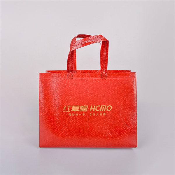 Non Woven Fabric Bags as the Go-To for Sustainable Retail Practices