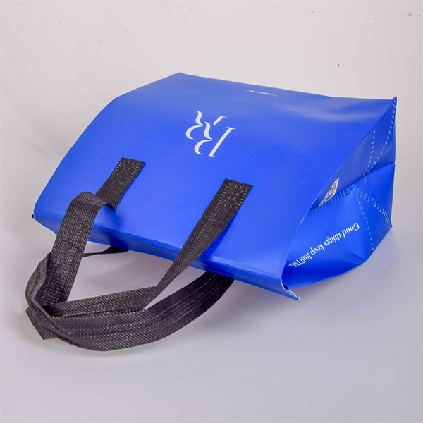 The Non Woven Foldable Bag