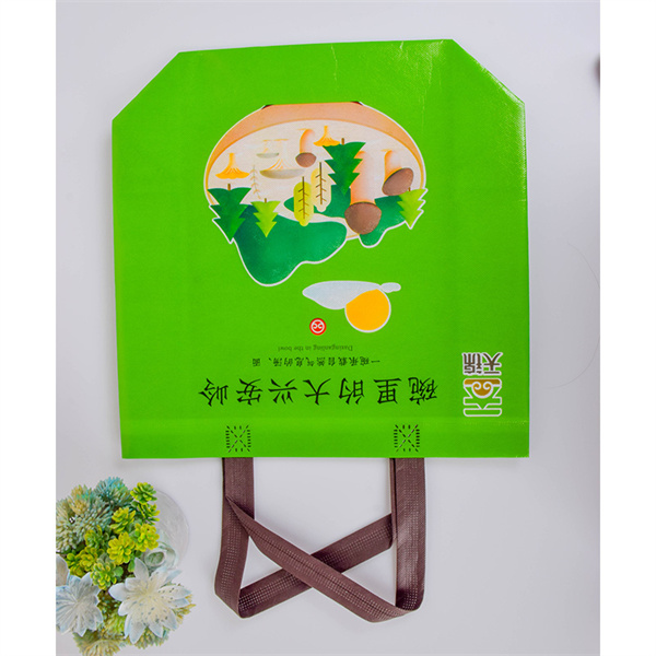 The Non Woven Bag