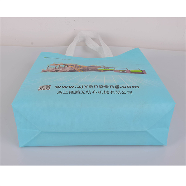 Make Your Shopping Easier with a Non Woven Foldable Bag.