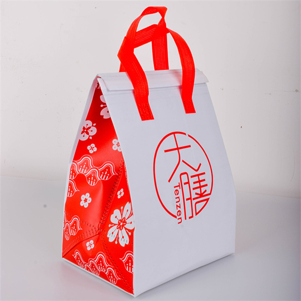 Style and Sustainability with Non Woven Grocery Bagsu201d