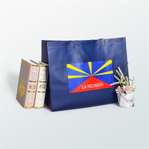 Non Woven Tote Bag for Everyday Errands