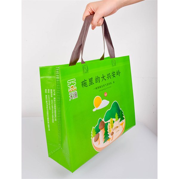 Stylish and functional lunch carrier