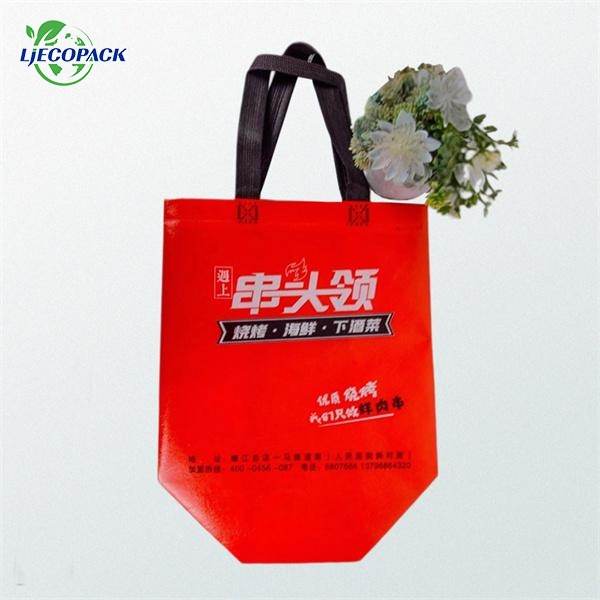 Non Woven Pizza Bags