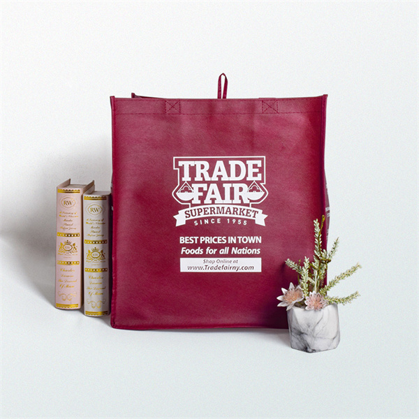 Fashionable and Reusable Non Woven Polypropylene Shopping Bags