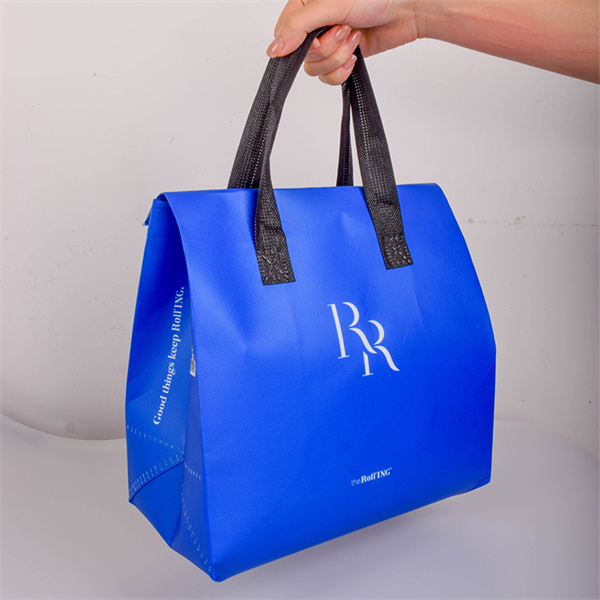 Non Woven Pouch Bag
