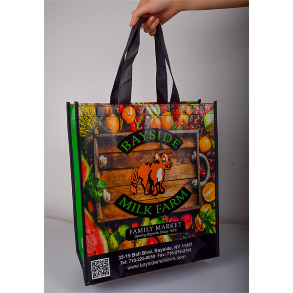 Non Woven Pouch Bag