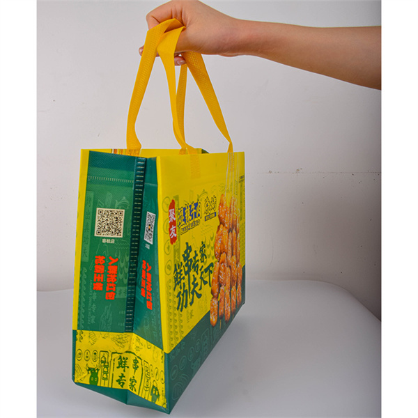 Non Woven Pouch Bag