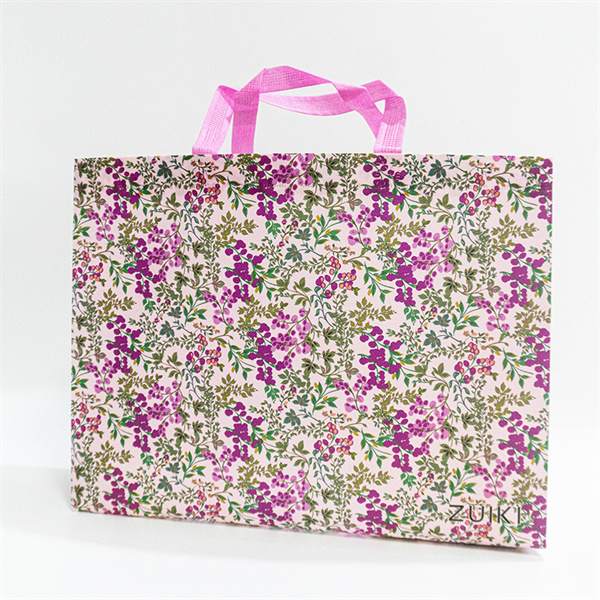 Perfect for groceries, shopping trips, or everyday essentials.