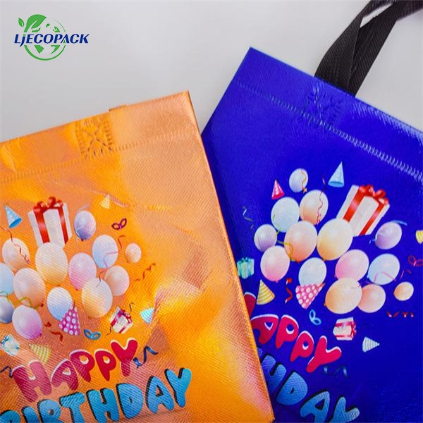 Nonwoven Fabric Bags for Everyday Use