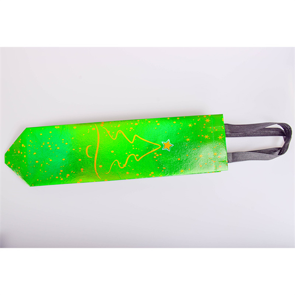 Switching to a Portable Reusable Bag