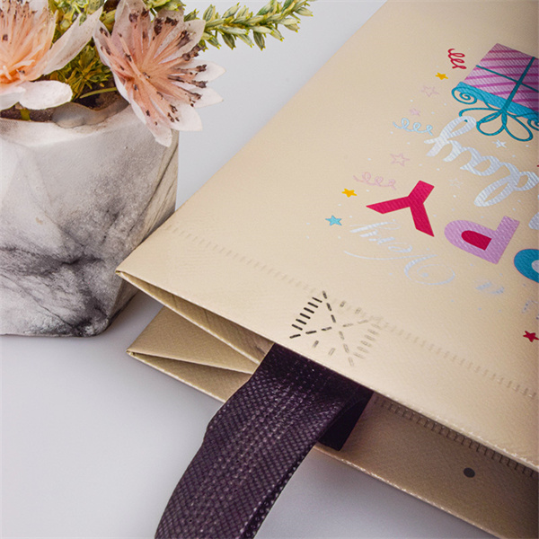 How PP Laminated Materials are Revolutionizing the Packaging Industry