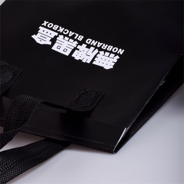 The Versatile Printed Non Woven Carry Bag
