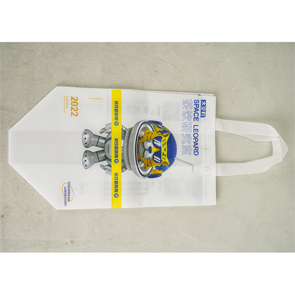Sustainable Shopping Made Easy with Custom Reusable Grocery Bags