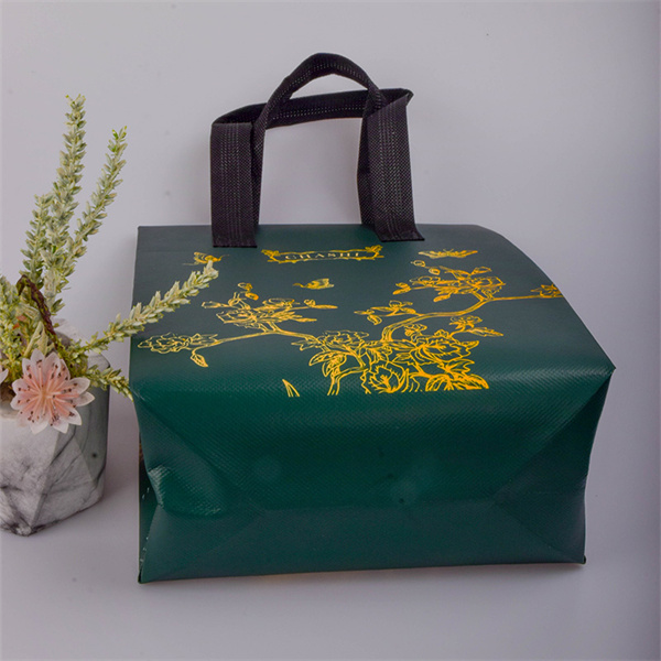 Stylish Reusable Tote Bags for the Eco-Conscious Shopper