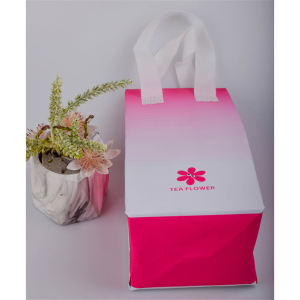 The Many Benefits of Owning a Reusable Shopping Bag Tote