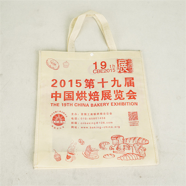 Reduce Your Carbon Footprint with the Box Bag Revolution