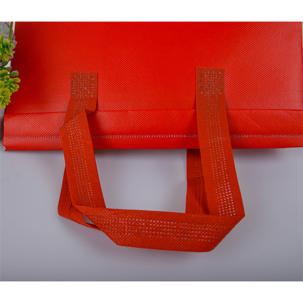 Switch to eco-friendly reusable carry bags.