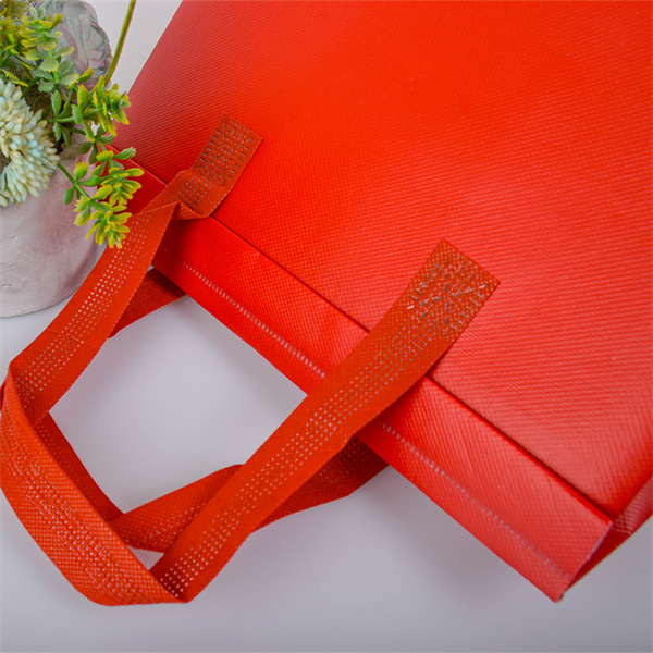 Save money and help the planet with reusable carry bags