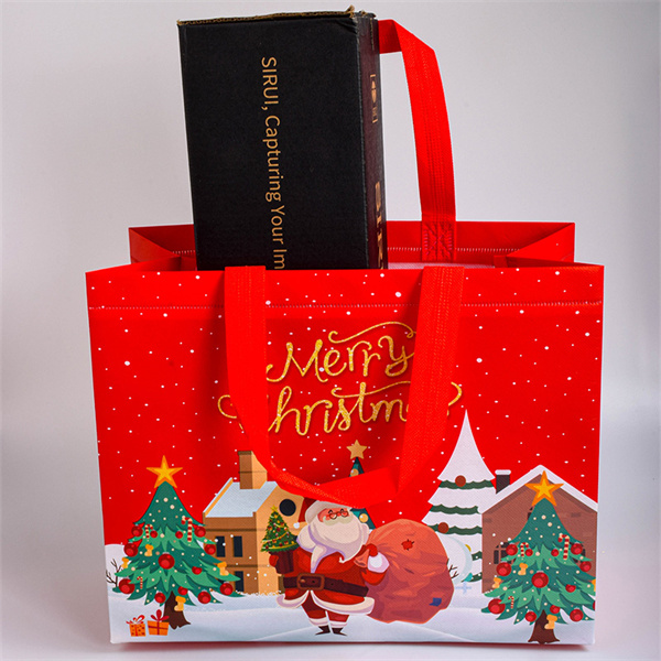 Reusable Christmas Grocery Bags