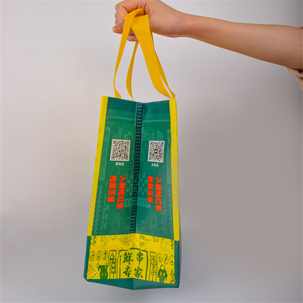 Use Reusable Bags to Be Environmentally Friendly When Shopping