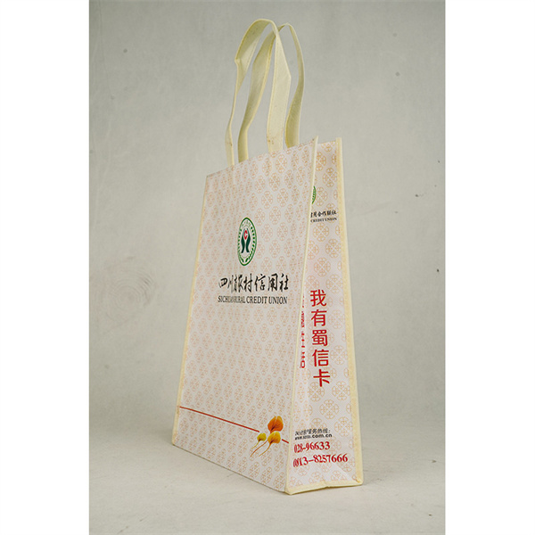 The Small Reusable Grocery Bag You Can Count On