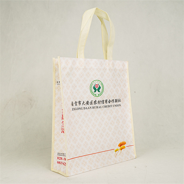 The Small Reusable Grocery Bag for Busy Lifestyles