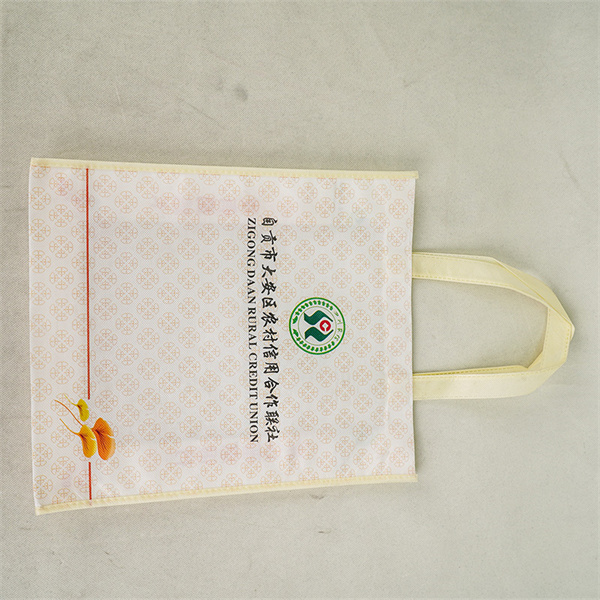 Upgrade Your Shopping Routine with the Small Reusable Grocery Bag That Does It All