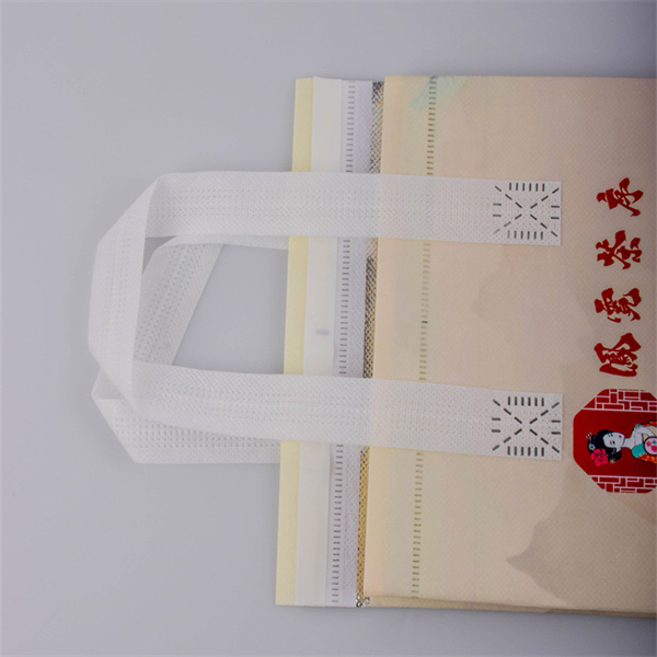 Protect Your Grocery Items with a Reusable Thermal Tote.