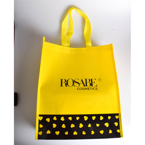 Cost and Benefits of Reusable Bag: Why Every Shopper