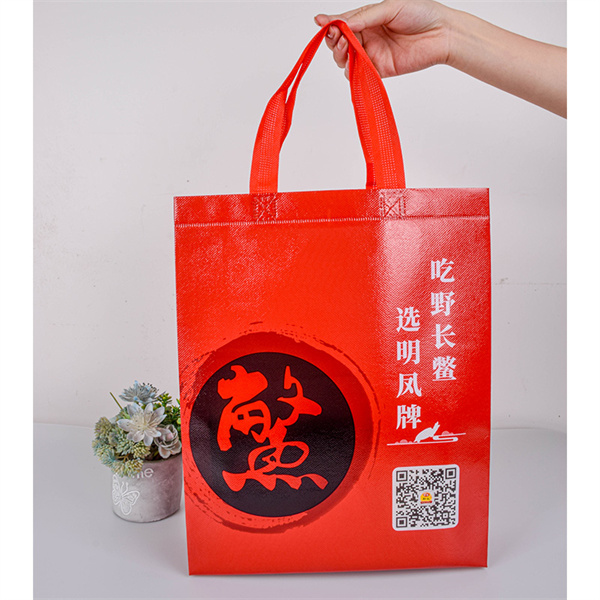 Elevate Your Fashion Game with Trendy Reusable Bags